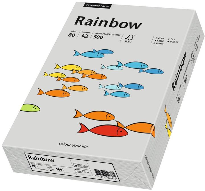 Rainbow Papier multifonction Color A3 80g/m² gris 500 fpm/pack (A3, 500 feuilles, 80 g/m²)