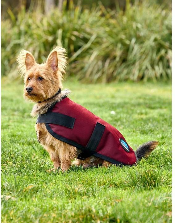Actual product image Weatherbeeta Comfitec Classic (Dog coat)