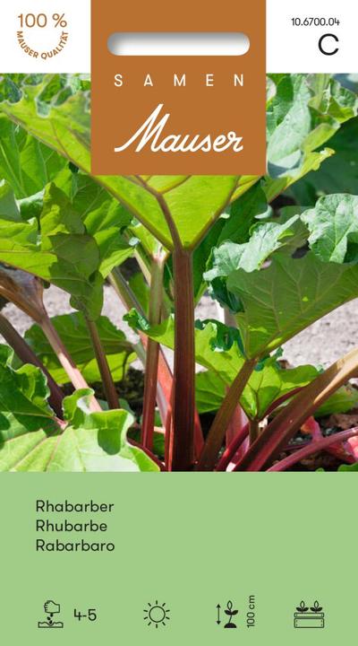 Actual product image Samen Mauser Rhubarb (Vegetable seeds)