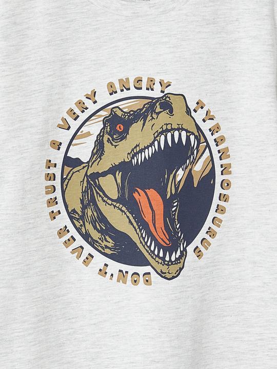 Produktbild Vertbaudet Jungen T-Shirt mit Dino, Recycling-Baumwolle (140)