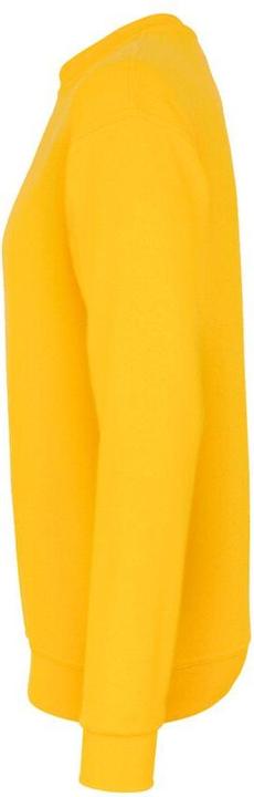 Immagine prodotto Hakro Felpa uomo PERFORMANCE giallo Large L (L)