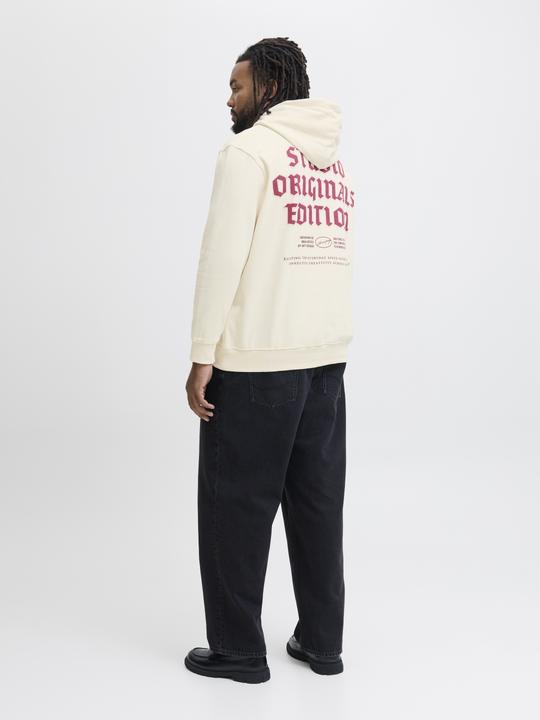 Immagine prodotto Jack & Jones Plus Size Kapuzenpullover Kapuzenpullover (4XL)