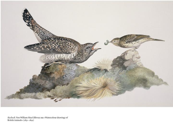 Vögel (Deutsch, Cord Riechelmann, 2021)