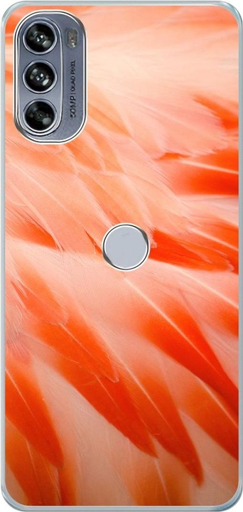 Flamingo Federn