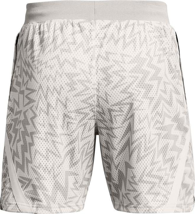 Actual product image Under Armour Curry Mesh Short 2 (M)