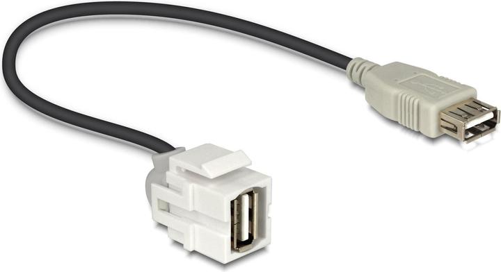 Image du produit Delock Keystone Jack : USB2.0,250° coudé (1.24 m, USB 2.0)