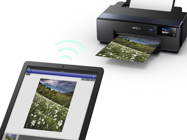 Produktbild Epson SC-P600 SureColor (Tintenpatrone, Farbe)