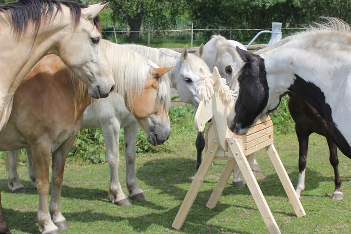 Produktbild Helga Kreft Gartenpferd Tamme