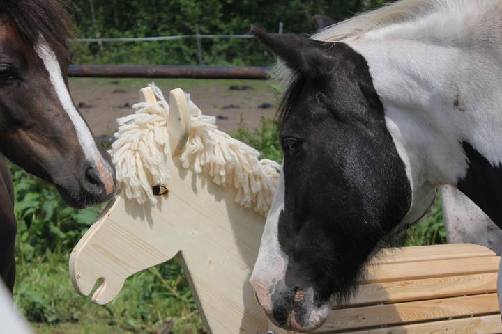 Produktbild Helga Kreft Gartenpferd Tamme