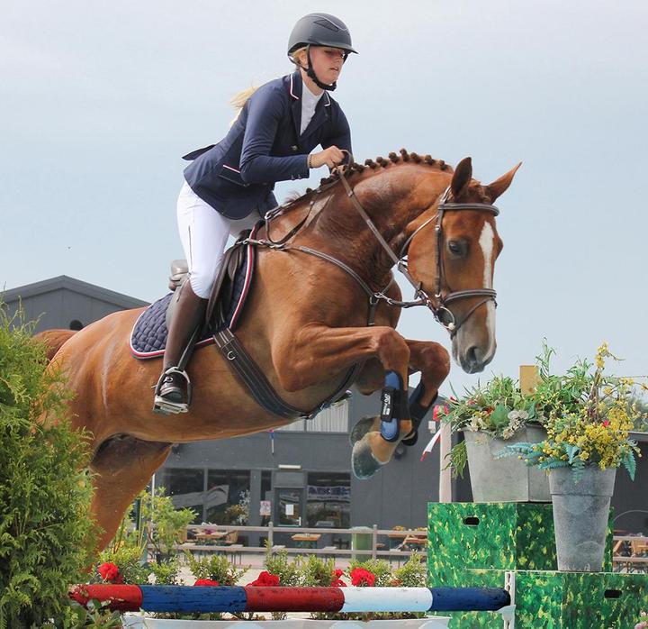 Produktbild Qhp Coco Adult Turniersakko (42)