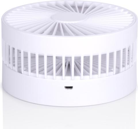 Actual product image Lifetime Mini Fan