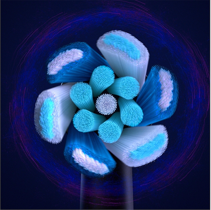 Image du produit Oral-B iO Ultimat. Rein. (6 x)