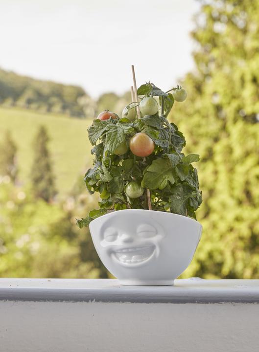 Immagine prodotto 58 Products Ridere (16.60 cm, 0.50 l, 1 x)