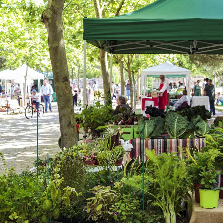 Image du produit Relaxdays 6x sacs sous vide