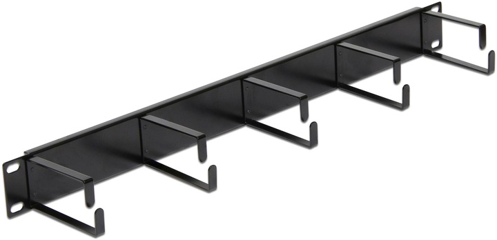 Image du produit Delock Panneau de gestion des câbles