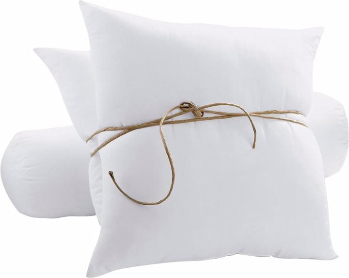 Immagine prodotto La Redoute Interieurs Oreiller (60 x 60 cm)