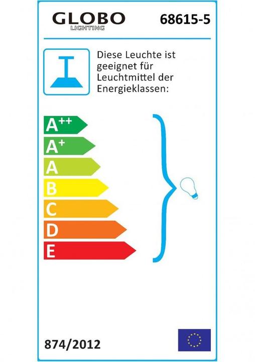 Energie-Label Globo Hängeleuchte Illimani (E14)