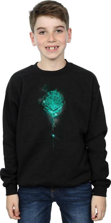 Immagine prodotto Hogwarts Crest Mist Felpa Ragazzi (116)