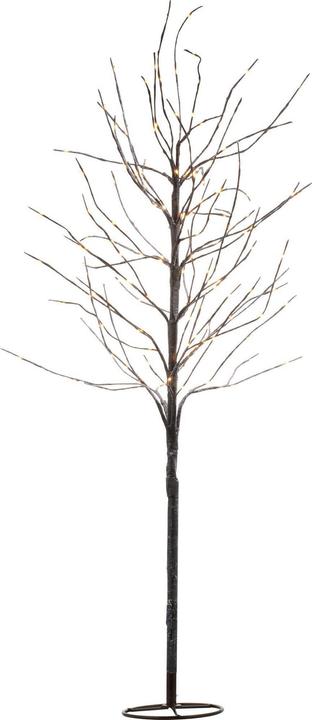 Actual product image Sirius Kira