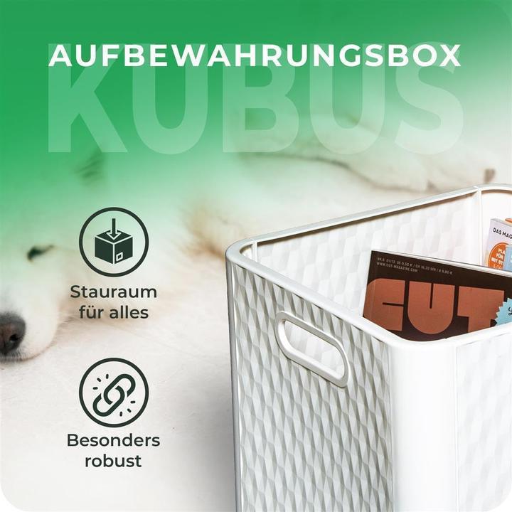 Actual product image Novaliv 2X Box 30x30x30 cm Weiss Boxen für Kallax Regal Körbe 30x30 Aufbewahrungsbox Regal als Schran (30 x 30 x 30 cm, 25 l)