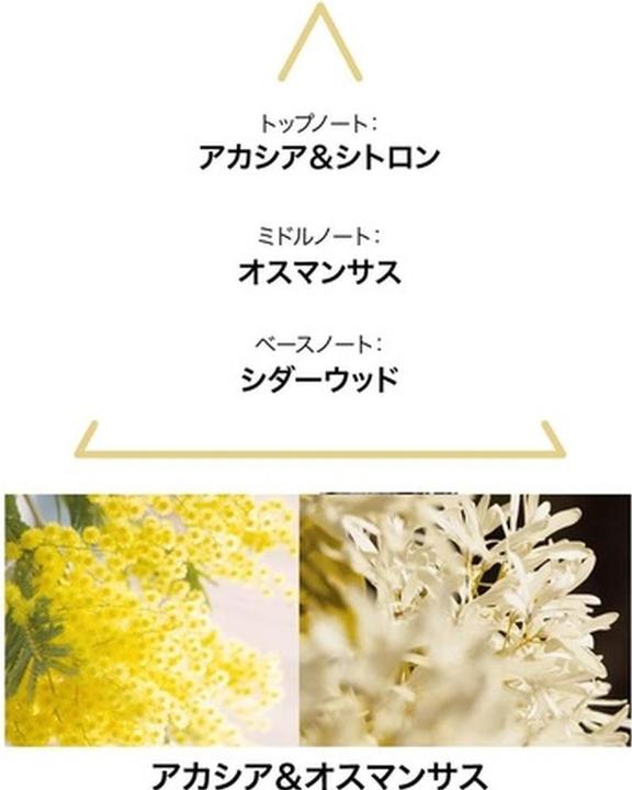 Actual product image Le Couvent Botanical Cologne Aqua Majestae EDT 50 ml (Eau de toilette, 50 ml)