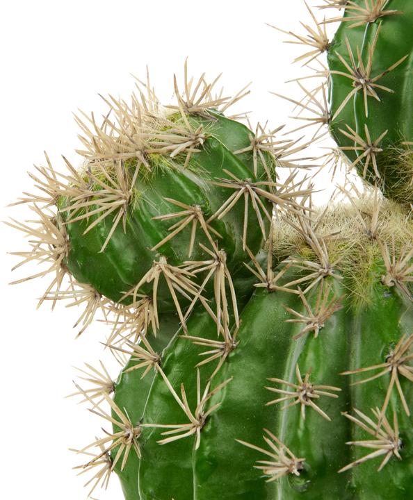 Actual product image Beliani Ball Cactus (33 cm)