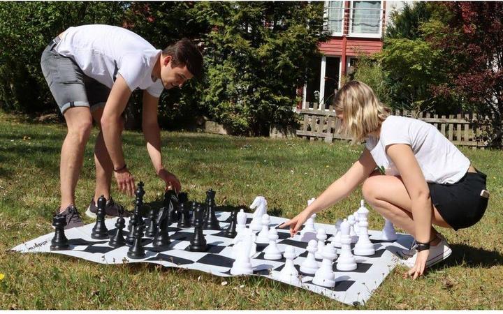 Actual product image Alldoro Chess XXL