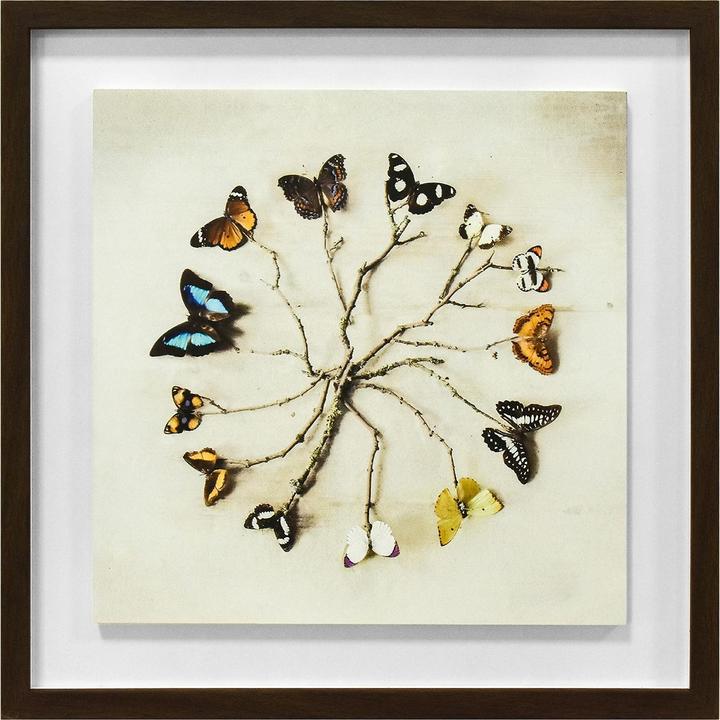 Actual product image Ian Winstanley Butterfly Harmony Wood Framed Plaque