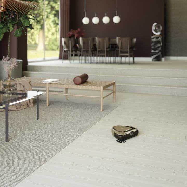 Actual product image Electrolux PI92-6DGM (Robot vacuum)