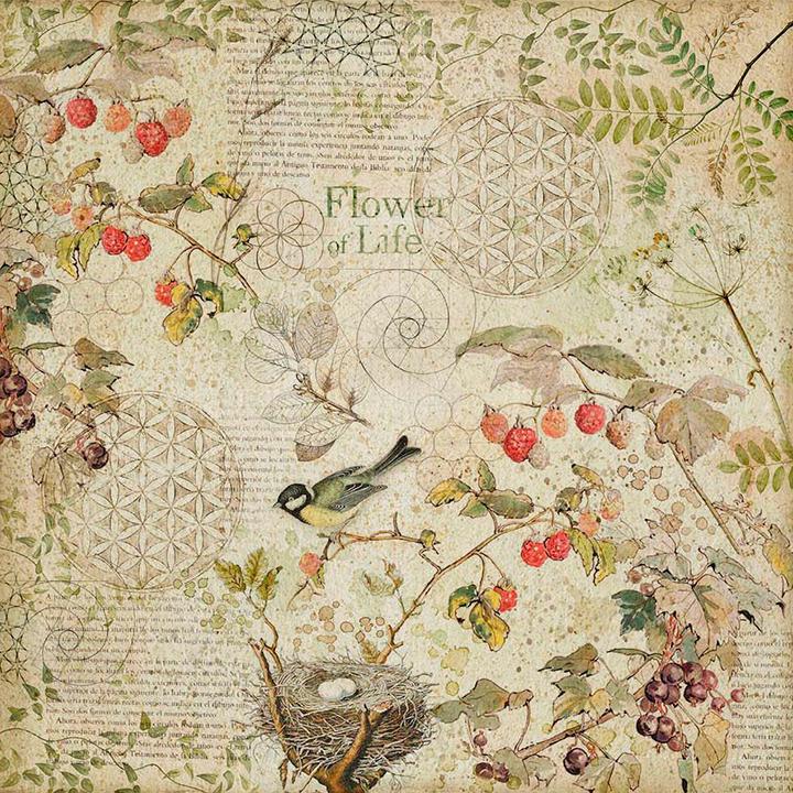 Produktbild Stamperia Maxi Scrapbook-Block "Forest" (190 g/m², 1x)