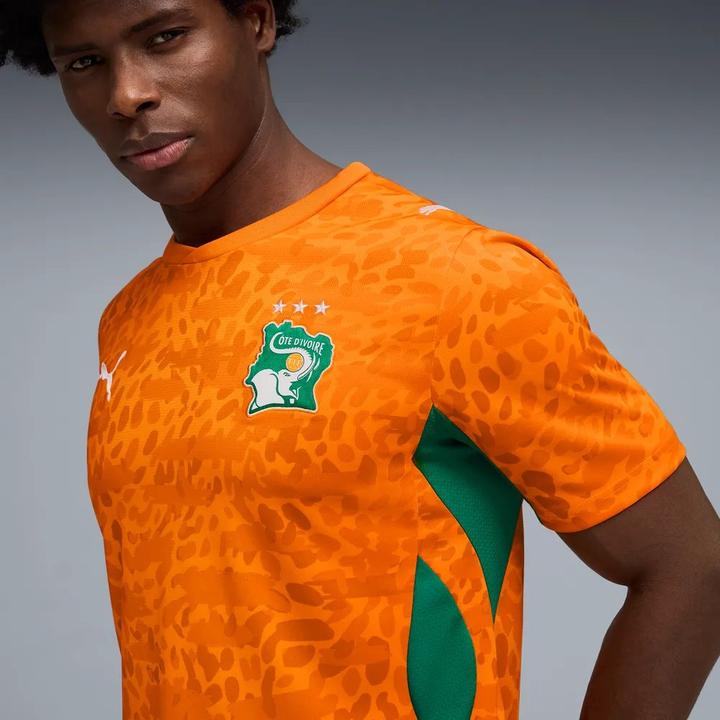 Actual product image Puma FIF Home Jersey Replica (M)