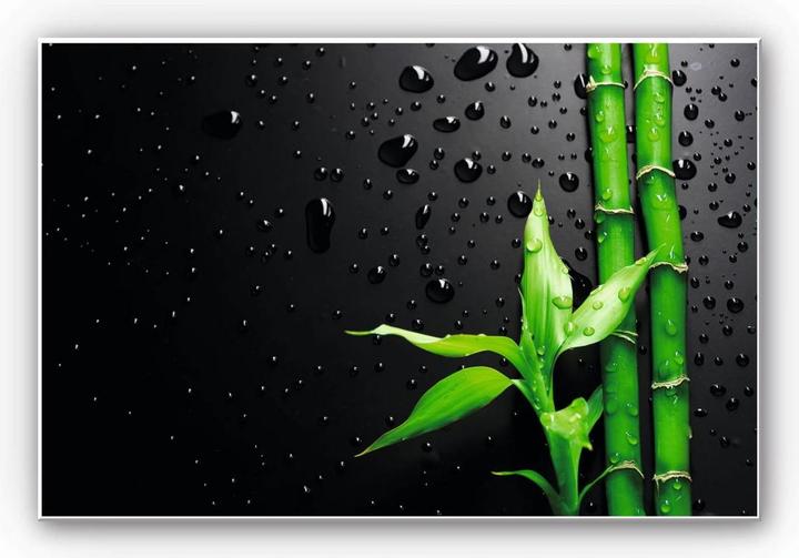 Immagine prodotto Trenddeko Bambù su nero (60 x 40 cm)