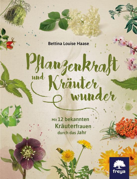Produktbild Pflanzenkraft und Kräuterwunder (Deutsch, Bettina Louise Haase, 2018)