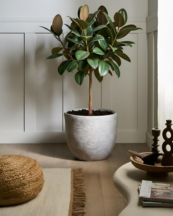 Actual product image Beliani Lixouri