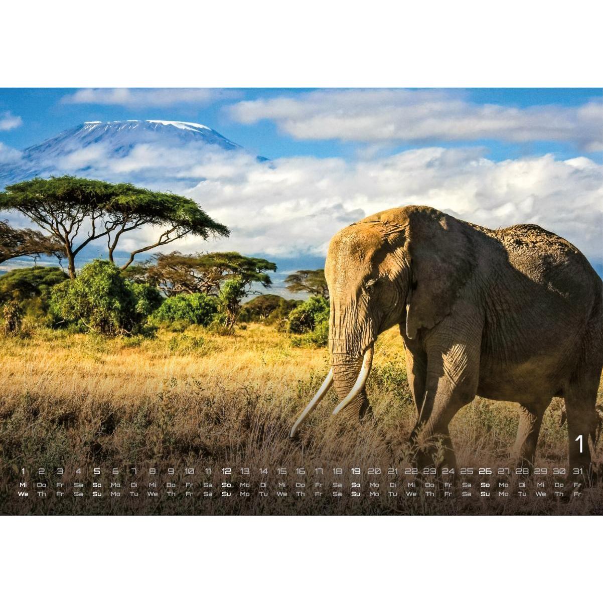 Thumbnail - GP Fever, Kalender, Elefanten - einzigartige Giganten - 2025 - Kalender DIN A3 (A3, Harter Einband, Deutsch)