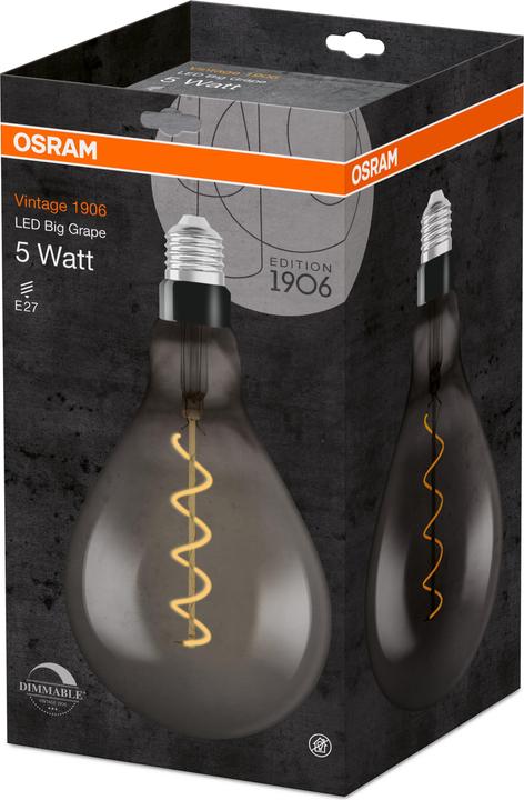 Actual product image Osram Vintage 1906 Led Big Special Shapes (E27, 5 W, 110 lm, 1 x, G)