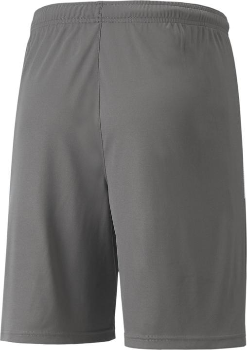 Actual product image Puma teamLIGA Shorts-704924 (3XL)