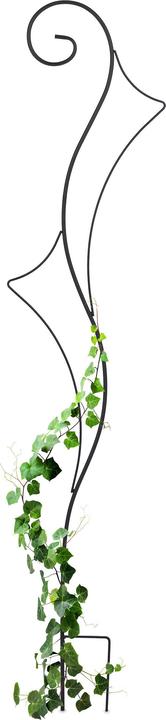 Produktbild Relaxdays Rankhilfe (0.80 cm, 30 cm)