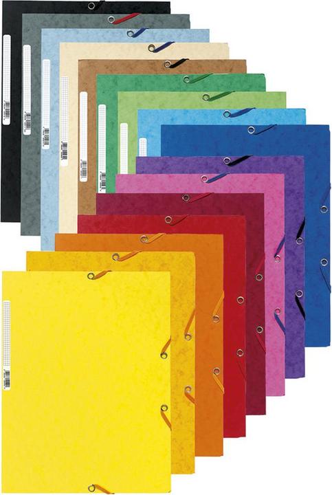 Produktbild Exacompta Sammelmappe A4 - 3 Klappen (A4, 50x)