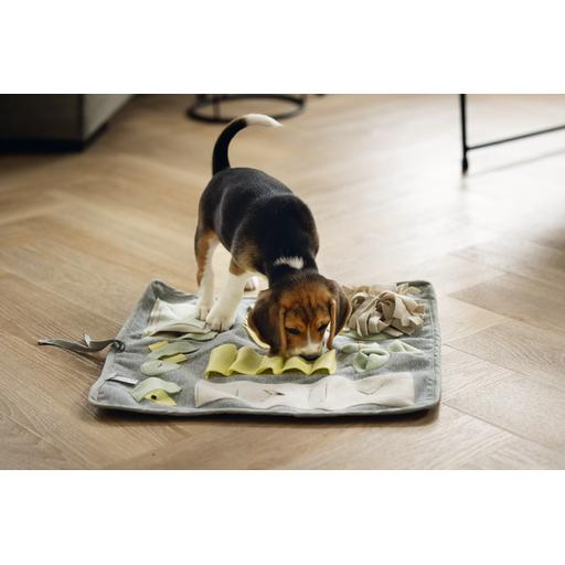 Thumbnail - Beeztees Schnüffelmatte Doeka (Welpenspielzeug), Hundespielzeug