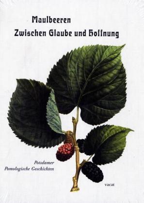 Produktbild Maulbeeren - Zwischen Glaube und Hoffnung (Deutsch, Marina Heilmeyer, Michael Seiler, 2006)