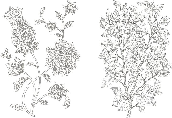 Immagine prodotto Colorful Mandala – Botanischer Garten