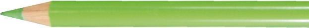 Produktbild Faber-Castell Farbstift Polychromos hellgrün 171 (Hellgrün, 1 x)