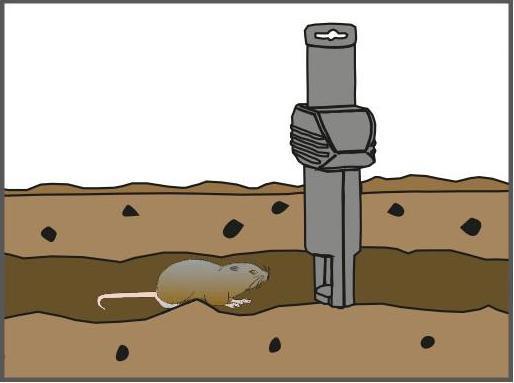 Actual product image Swissinno Vole Trap SuperCat