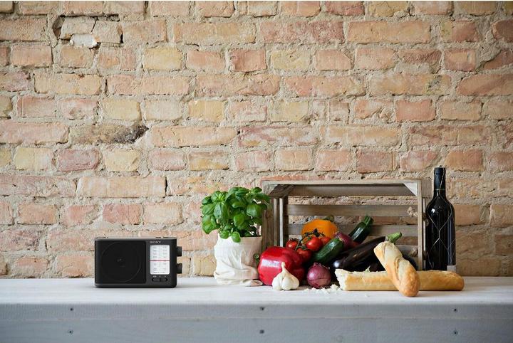 Produktbild Sony ICF-506 (FM)