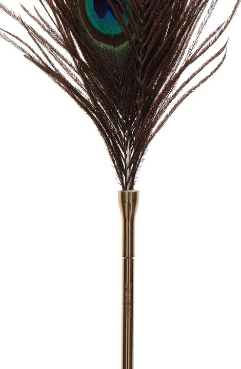 Immagine prodotto Taboom Plumeau à caresses Peacock Tickler -