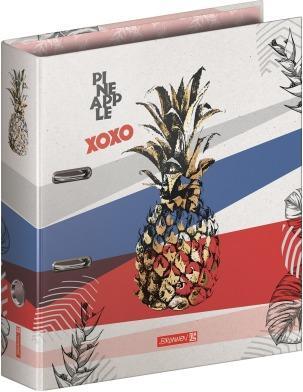 Produktbild Ordner Pineapple A4 102042965 multicolor