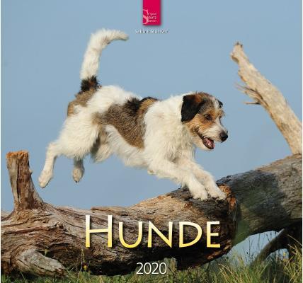 Actual product image Dogs 800361601 EN, 33x31cm, 2020