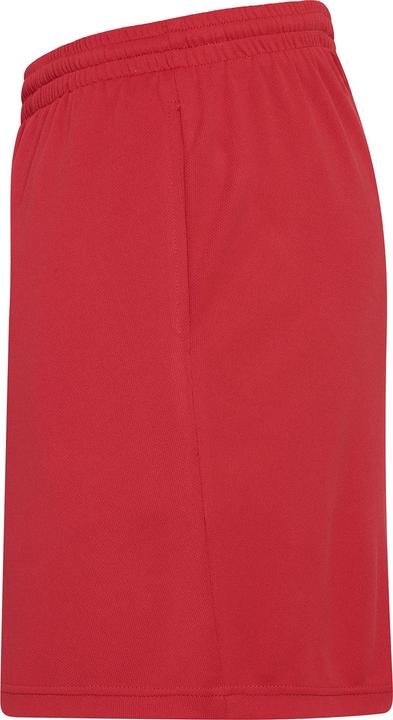 Actual product image Awdis UTRW693 P (L)