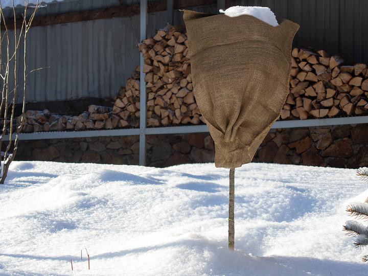 Actual product image Toolland Jute (175 l)